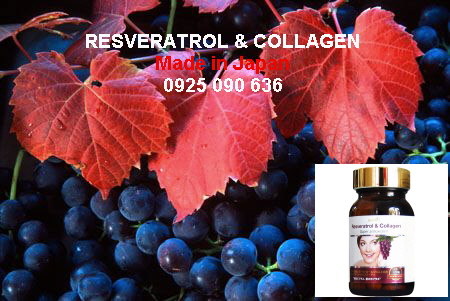Resveratrol & Collagen 4