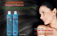 Dau goi dau tri rung toc Herbgrow Shampoo 12