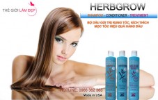 Dau goi tri rung toc Herbgrow Shampoo 11