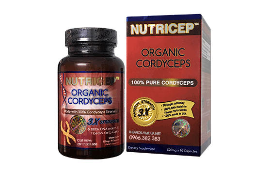 Dong trung ha thao Nutricep Organic Cordyceps-01